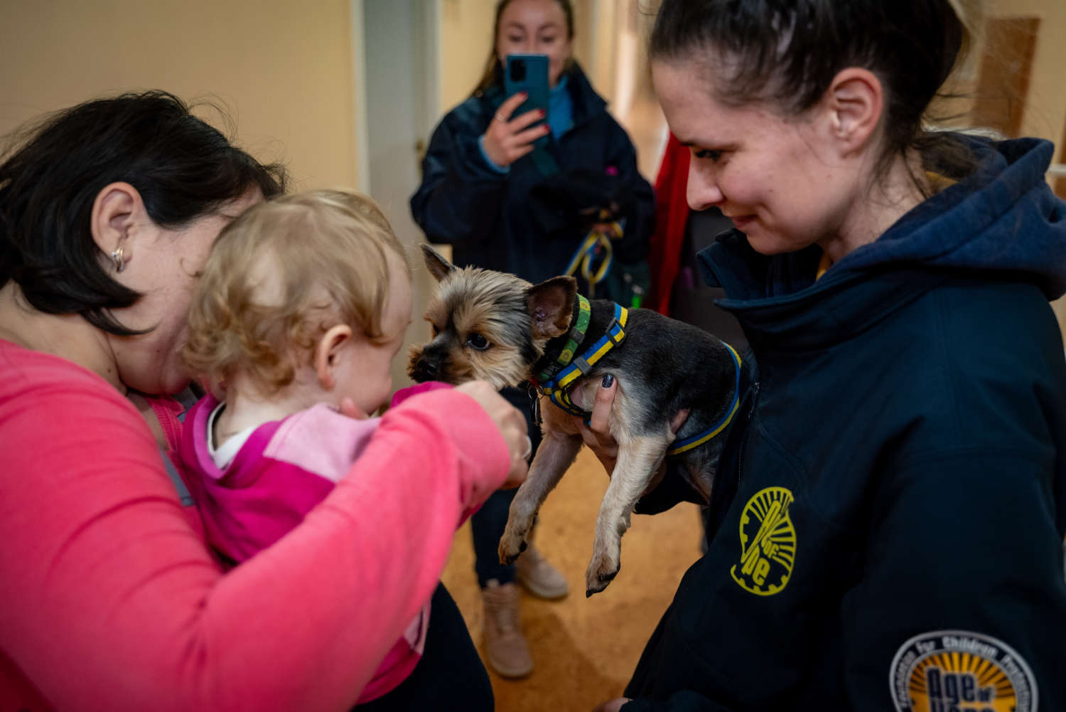 Volunteer showing a puppy to a small child at a reception centre